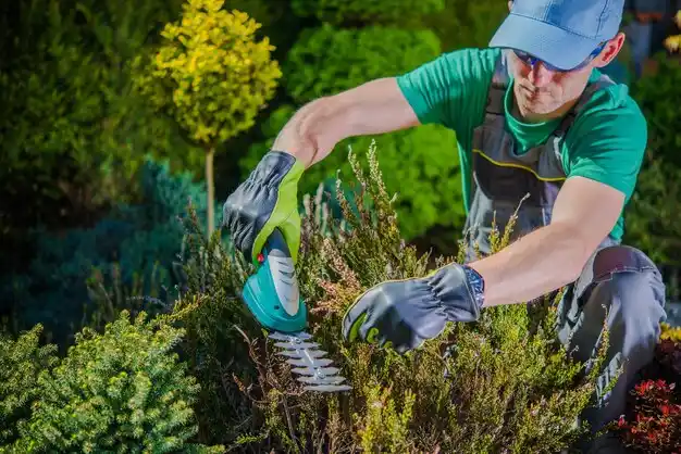 landscaping services Oran